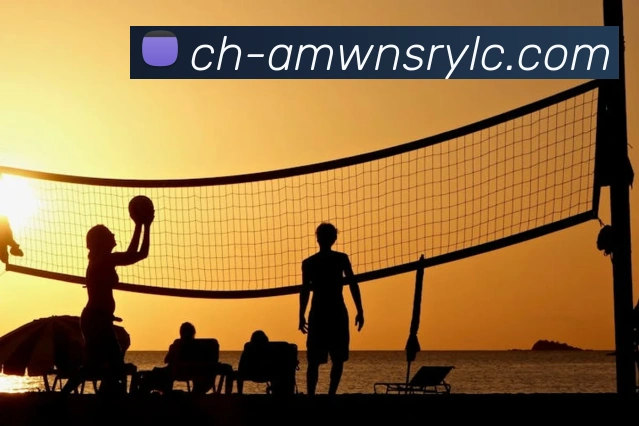 辅助工具 辅助工具